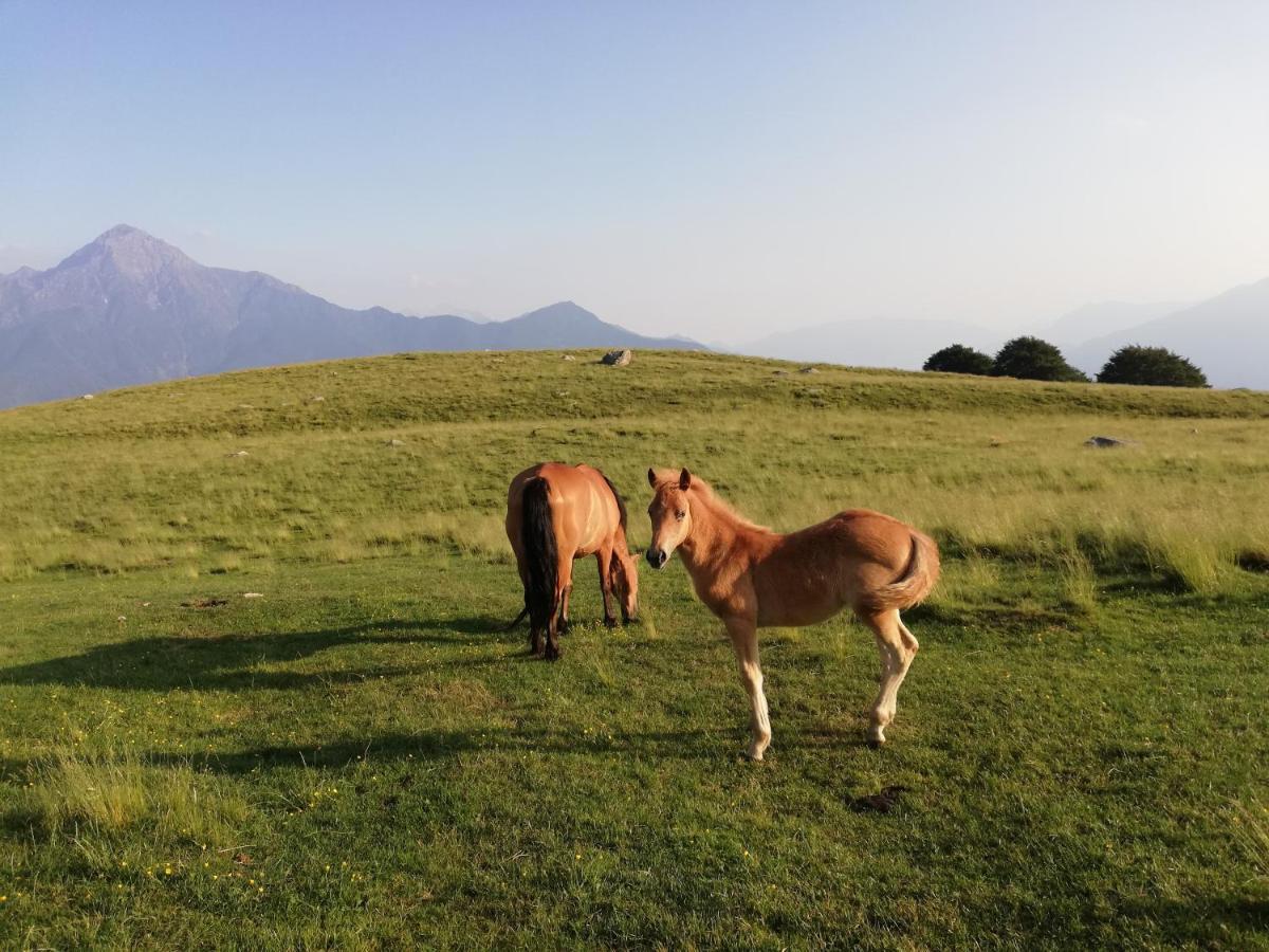Villa Casa Anna - Montemezzo Bugiallo Esterno foto